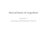 Neural Basis of Cognition Lecture 7 Learning and Memory: Part III.