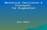 1 Mechanical Ventilation & Strategies for Oxygenation Dawn Oddie.