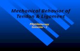 Mechanical Behavior of Tendon & Ligament Physio therapy Semester – I.