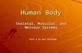 Human Body Skeletal, Muscular, and Nervous Systems Unit G in our textbook.