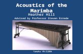 Acoustics of the Marimba Heather Hill Advised by Professor Steven Errede Yamaha YM-5100A.