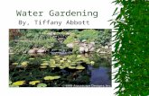 Water Gardening By, Tiffany Abbott. What is Water Gardening?  New Area of Gardening  Can be used in residential, or public areas  Peaceful and relaxing.