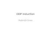 DDP Induction Roderich Gross. Welcome CDT schedule Month 1: Induction, training needs analysis Month 10: Confirmation review report (draft) to supervisory.