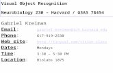 Visual Object Recognition Neurobiology 230 – Harvard / GSAS 78454 Gabriel Kreiman Email: gabriel.kreiman@tch.harvard.edu gabriel.kreiman@tch.harvard.edu.
