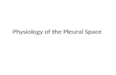 Physiology of the Pleural Space. Visceral Pleura Covers the lung parenchyma including the interlobar fissures. Provides mechanical support to the.
