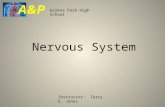 Nervous System Galena Park High School A&P Instructor: Terry E. Jones.