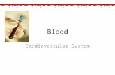Blood Cardiovascular System. Blood Functions 1. Transports Dissolved gasses Nutrients Waste products to lungs and kidneys Enzymes Hormones from endocrine.