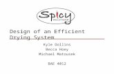 Design of an Efficient Drying System Kyle Dollins Becca Hoey Michael Matousek BAE 4012.
