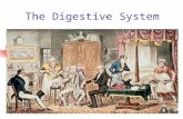 The Digestive System. Section 1 What You Will Learn Compare mechanical digestion with chemical digestion. Describe the parts and functions of the digestive.