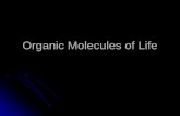 Organic Molecules of Life. Organic molecules : are compounds created by living organisms are compounds created by living organisms contain the elements.