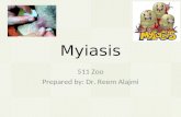 Myiasis 511 Zoo Prepared by: Dr. Reem Alajmi. Defention  Myiasis can be defined as the invasion of organs and tissues of humans or other vertebrate animals.