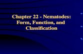 Chapter 22 - Nematodes: Form, Function, and Classification.