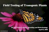 Field Testing of Transgenic Plants PS 353: Plant Genetics, Breeding and Biotechnology April 8, 2008 .