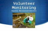 Volunteer Monitoring Aquatic Macroinvertebrates. Why Volunteer Water Quality Monitoring Makes Sense  Helps communities make informed decisions and improve.