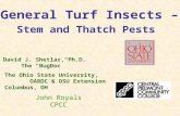 General Turf Insects – Stem and Thatch Pests David J. Shetlar, Ph.D. The “BugDoc” The Ohio State University, OARDC & OSU Extension Columbus, OH John Royals.