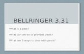 BELLRINGER 3.31 What is a pest? What can we do to prevent pests? What are 3 ways to deal with pests?