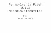 Pennsylvania Fresh Water Macroinvertebrates By: Nick Bonney.