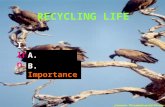 RECYCLING LIFE I. Introduction A. Definition B. Importance.