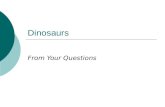 Dinosaurs From Your Questions. What events separate the periods of the Mesozoic  Mass extinctions – mainly of cephalopods  First appearances of new.