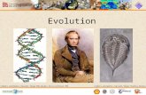 Evolution commons.wikimedia.org/wiki/Image:Charles_Darwin_1881.jpgcommons.wikimedia.org/wiki/Image:DNA_double_helix_vertikal.PNG.