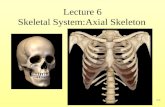 7-1 Lecture 6 Skeletal System:Axial Skeleton. 7-2 The Complete Skeleton Axial skeleton –Skull –Hyoid bone –Vertebral column –Thoracic (rib) cage Appendicular.