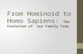 From Hominoid to Homo Sapiens: The Evolution of our Family Tree.