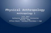 Physical Anthropology Anthropology 1 Fall 2014 Katherine Schaefers, Instructor Office: 3102 Office Hours: Tuesdays/Thursdays 1-2pm.