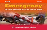 Emergency Medical Care of Spinal Injuries Follow BSI precautions. Manage the airway. – Perform the jaw-thrust maneuver to open the airway. – Consider.