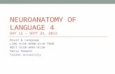 NEUROANATOMY OF LANGUAGE 4 DAY 12 – SEPT 23, 2013 Brain & Language LING 4110-4890-5110-7960 NSCI 4110-4891-6110 Harry Howard Tulane University.
