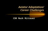 Aviator Adaptation/ Career Challenges CDR Mark Mittauer.
