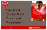 Www.ifrc.org Saving lives, changing minds. Welcome to the IFRC The International Red Cross Red and Red Crescent Movement The Red Cross Red Crescent Movement.