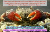 Feeding Ecology of the Sesarmid Crab Neosarmatium trispinosum Davie (Crustacea: Brachyura) from the Mangroves of the Ryukyu Islands, Japan MS ISLAM, T.