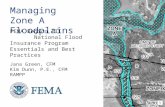 Managing Zone A Floodplains Jana Green, CFM Kim Dunn, P.E., CFM RAMPP FEMA Region III National Flood Insurance Program Essentials and Best Practices.