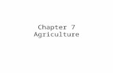 Chapter 7 Agriculture. Fleeing the Farm Income Growth and Ag Labor Shares Source: Taylor and Lybbert, RebelText: Essentials of Development Economics,