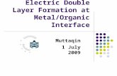 Electric Double Layer Formation at Metal/Organic Interface Muttaqin 1 July 2009.