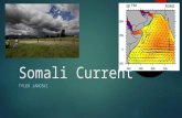 Somali Current TYLER JANOSKI. First, let’s talk about the South-Asian Monsoon  Monsoon develops because of temperature differences between land and sea.