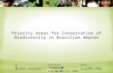 Priority Areas for Conservation of Biodiversity in Brazilian Amazon.