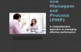 Performance Management Process (PMP) A comprehensive approach to managing effective performance.