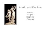 Apollo and Daphne Apollo Cupid Daphne Peneus. Cupid.