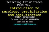 Searching for microbes Part VI. Introduction to serology, precipitation and agglutination Ondřej Zahradníček To practical of VLLM0421c Contact to me: zahradnicek@fnusa.cz.