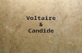 Voltaire & Candide.  Voltaire was born Francois Marie Arouet on November 21, 1694 in Paris. He received his education at “Louis-le- Grand,” a Jesuit.