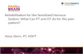 Rehabilitation for the Sensitized Nervous System: What Can PT and OT do for the pain patient? Nora Stern, PT, MSPT.