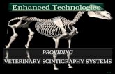 Intro Enhanced Technologies PROVIDING VETERINARY SCINTIGRAPHY SYSTEMS.