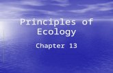 Principles of Ecology Chapter 13. Ecologists Study Relationships Interactions and Interdependence Interactions and Interdependence  Ecology – the scientific.