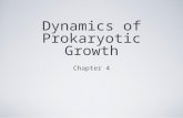 Dynamics of Prokaryotic Growth Chapter 4. 4.1 Principles of Prokaryotic Growth Robert Koch (1843- 1910) Developed the strategies for cultivating bacteria.