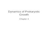 Dynamics of Prokaryotic Growth Chapter 4. Preview Principles of bacteria growth. Bacteria growth in nature. Bacteria growth in laboratory. Factors affect.