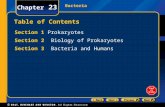 Bacteria Chapter 23 Table of Contents Section 1 Prokaryotes Section 2 Biology of Prokaryotes Section 3 Bacteria and Humans.