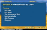 Cell StructureSection 1 Section 1: Introduction to Cells Preview Bellringer Key Ideas The Discovery of Cells Looking at Cells Cell Features Summary.