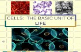 CELLS: THE BASIC UNIT OF LIFE Some Cell Fun Facts You can grow heart cells in a petri dish. Humans have an estimated 10 trillion cells. The largest known.
