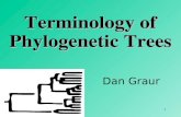 1 Dan Graur Terminology of Phylogenetic Trees. 2 Evolutionary relationships are usually illustrated by means of a phylogenetic tree (dendogram). Evolutionary.